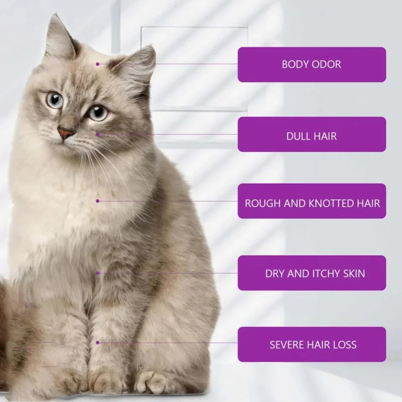 Shampoo e Condicionador para Animais de Estimação com Óleos Essenciais Puros de Lavanda, Fórmula Sem Lágrimas para Cães e Gatos, pH Balanceado, Cuidado Suave 100ml