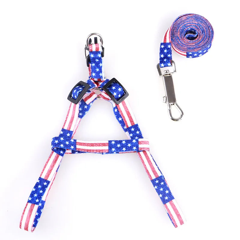 Coleira para Cães Pequenos, Coleiras para Filhotes, Conjunto de Coleira e Peitoral para Teddy, Conjunto de Corda de Guia Fofa