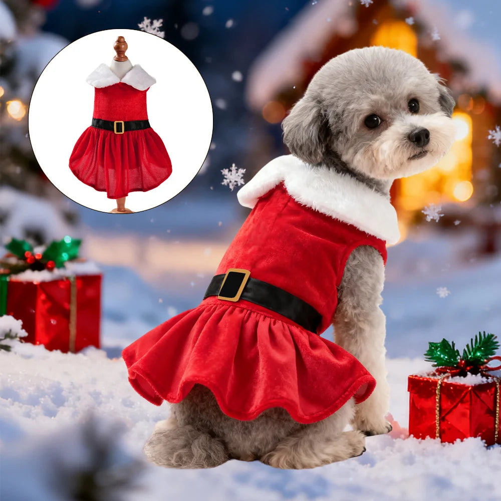 Cão de estimação cosplay traje para cães pequenos médios gato bonito roupas natal engraçado festa vestir-se gatinho roupas bulldog jaqueta