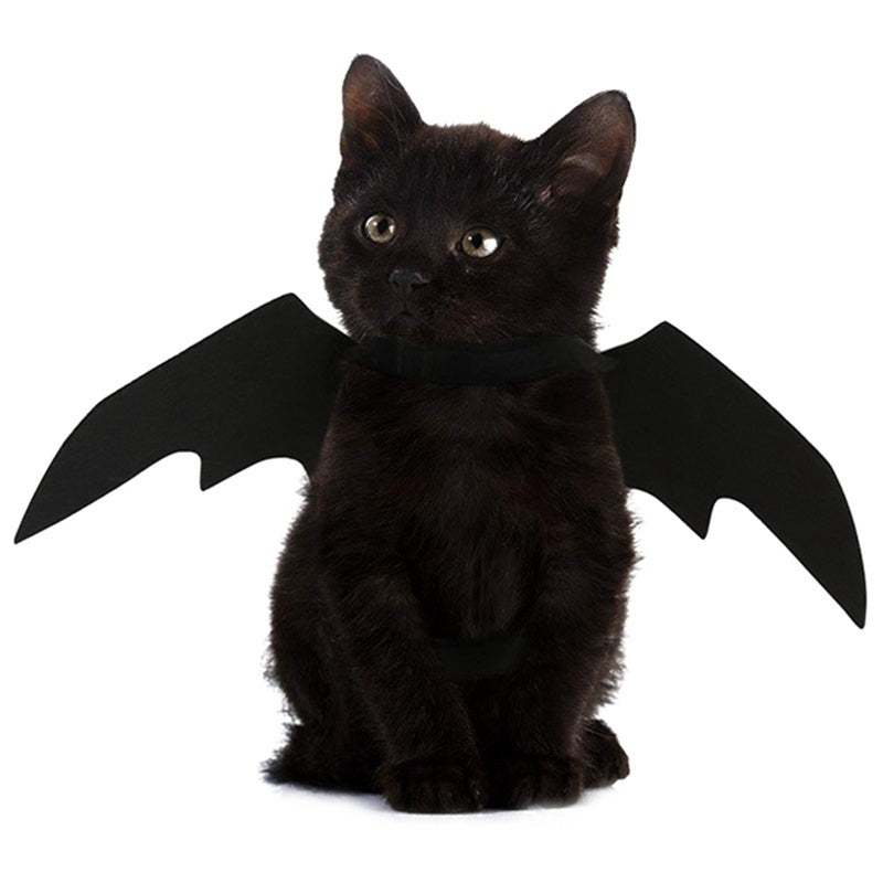 Halloween bonito roupas para animais de estimação preto morcego asas arnês traje cosplay gato cão festa de halloween para suprimentos para animais de estimação