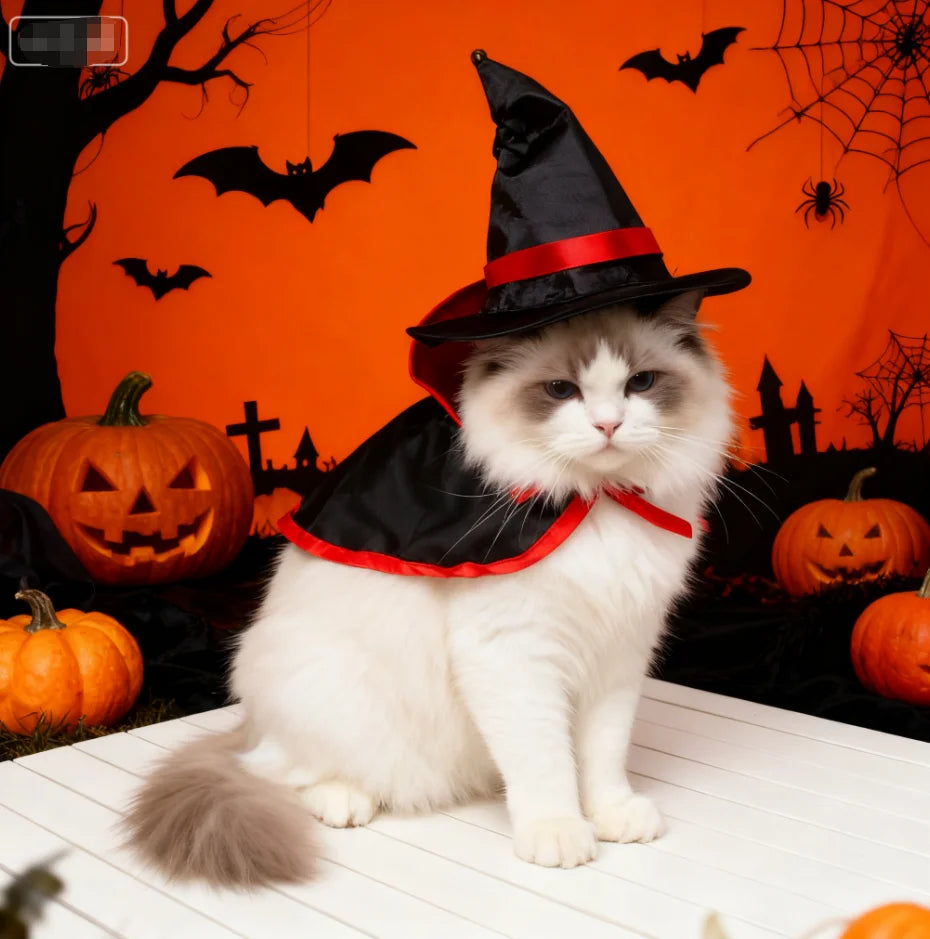 Halloween natal capa mágica pet transformar traje para gatos cães avançados vestuário festivo roupas para animais de estimação accessories255