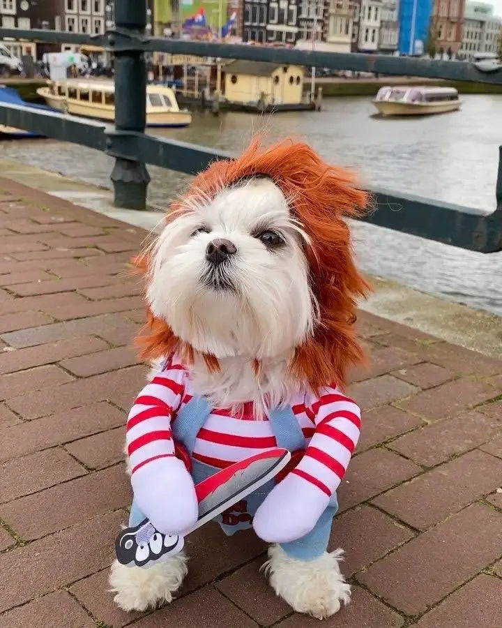 Fantasia de Halloween para Animais de Estimação – Vestido para Cães Pequenos e Médios – Roupa Divertida e Estilosa para Cães e Gatos Brincando com Roupas Engraçadas
