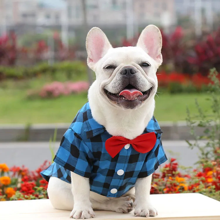 Cão de estimação roupas xadrez camisa terno gravata vestido primavera verão filhote de cachorro casaco teddy bear pomeranian colete pequeno-médio cão gato animal de estimação traje