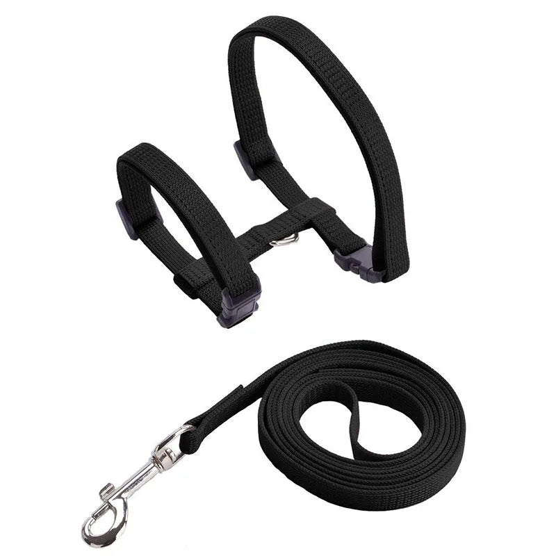 Coleira ajustável para gatos, coleira aconchegante de nylon para coelho, gatinhos, conjunto de coleira para cães e gatos, produtos para animais de estimação Kasa & Pet