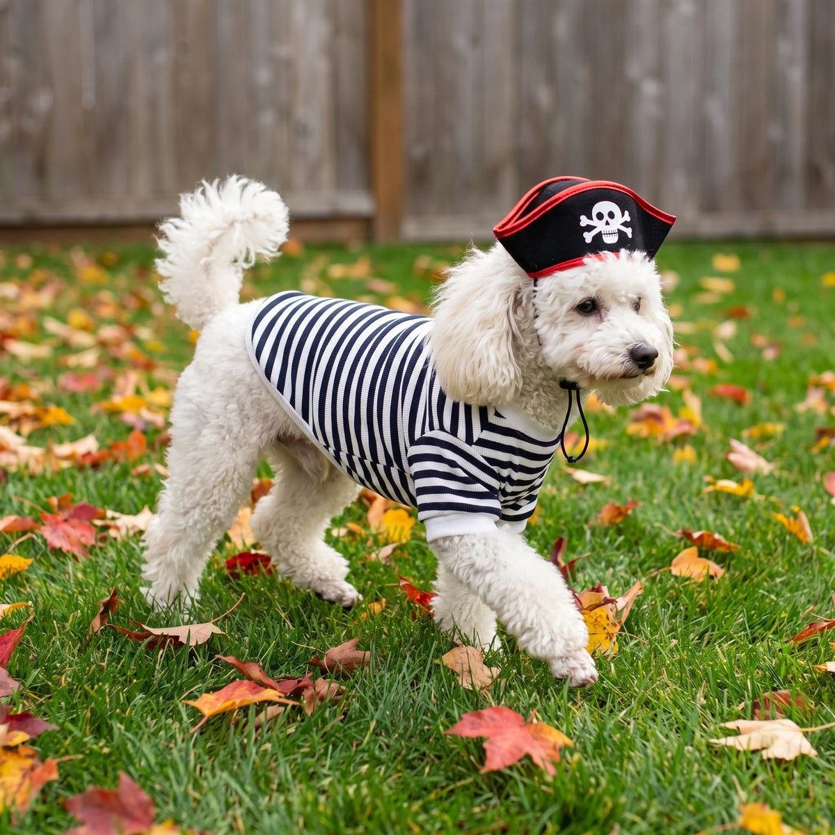 Conjunto de Fantasia de Pirata para Animais de Estimação com Chapéu de Caveira, Camiseta Listrada Preta e Branca para Cães e Gatos, Roupa de Cosplay Assustadora para Festas