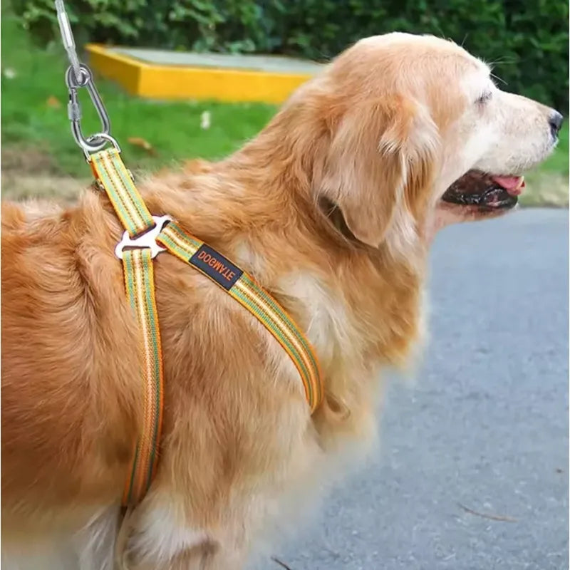 Corda de Amarração Dupla para Cães com Fivela de Metal, Cabo de Aço Antiferrugem, Coleira para Treinamento ao Ar Livre, Alça de Tração Durável