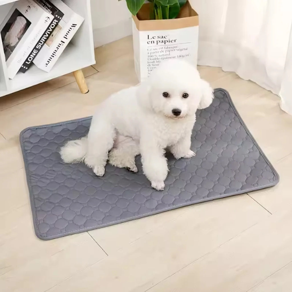 Tapete Absorvente Reutilizável e Lavável para Cães, Tapete de Urina para Carro, Sofá, Impermeável, para Treinamento de Filhotes e Gatos, Suprimentos para Animais de Estimação
