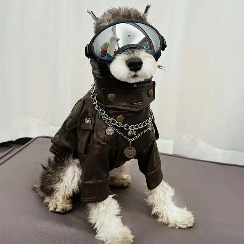 Roupa para Cães e Gatos: Jaqueta Motoqueiro de Couro PU Estilo Rocker para Cães, Preto e Marrom, Tamanhos S-XXL