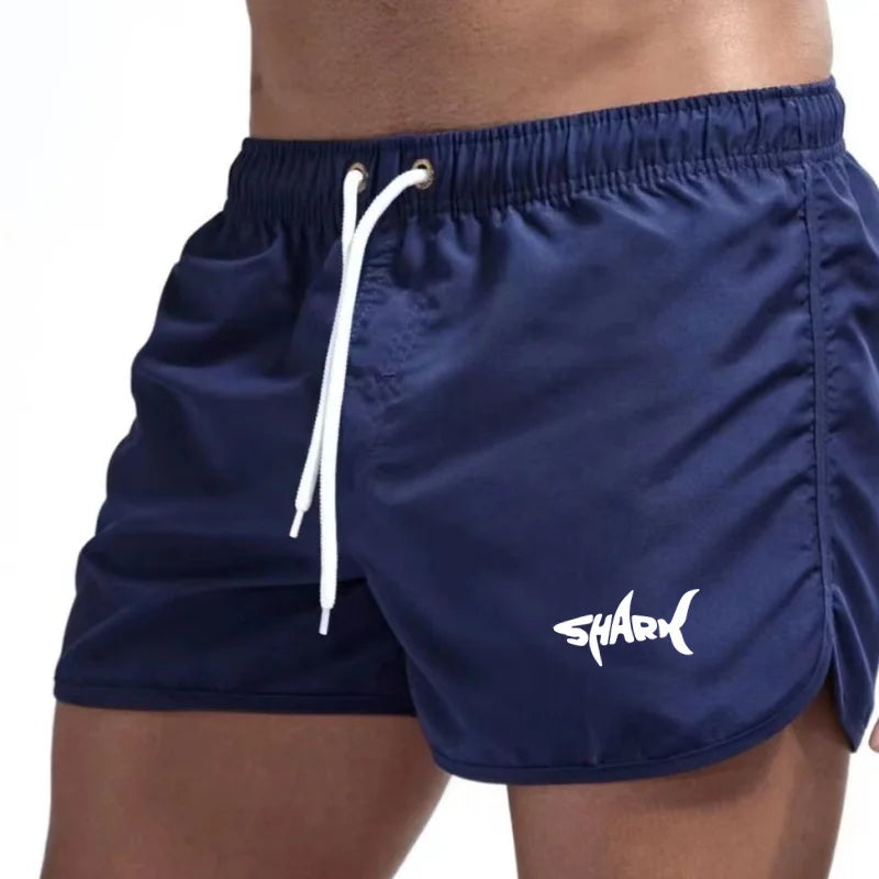 Men's Summer Mesh Quick-Drying Sports Shorts Casual Breathable Beach Pants for Outdoor Running Fitness