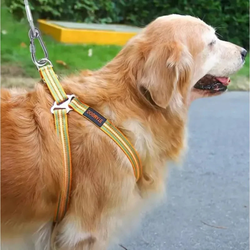 Corda de Amarração Dupla para Cães com Fivela de Metal, Cabo de Aço Antiferrugem, Coleira para Treinamento ao Ar Livre, Alça de Tração Durável