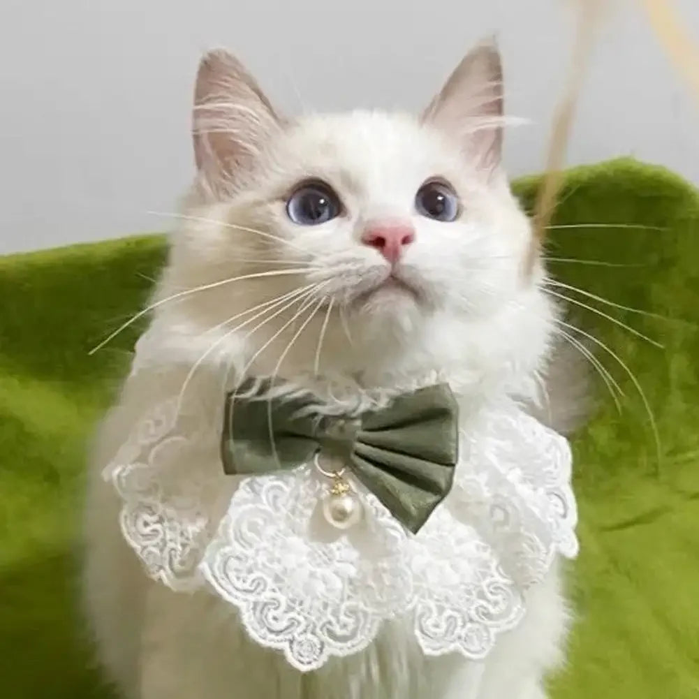 Laço bowknot pérola colar gato cão neckerchief pet gatos gatinho cão filhote de cachorro corda babador colar gravata pescoço cinta cachecol acessórios