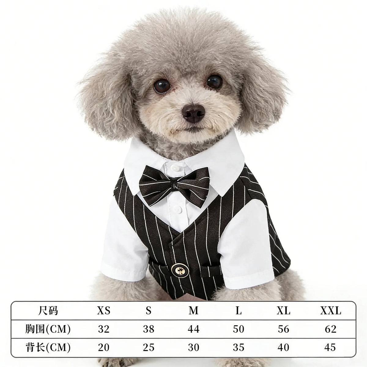 Traje de Primavera para Cães de Estimação: Camisa e Colete de Smoking para Casamento, Fantasia de Cavalheiro para Teddy, Bichon e Cães Pequenos