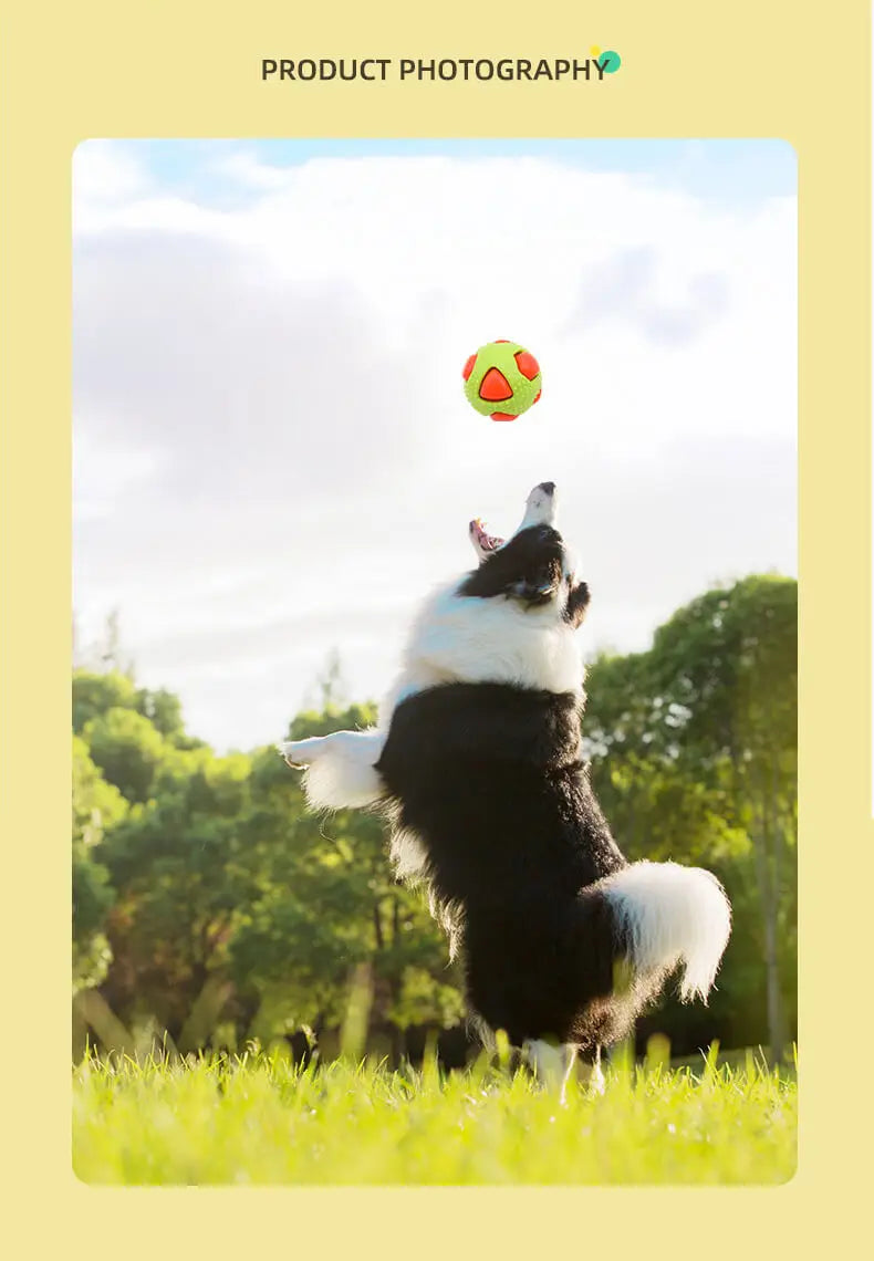 Pet tpr brinquedo bola interação animais de estimação aliviar o tédio mordida resistência pequeno cão de tamanho médio moagem dormir ventilação bola flash