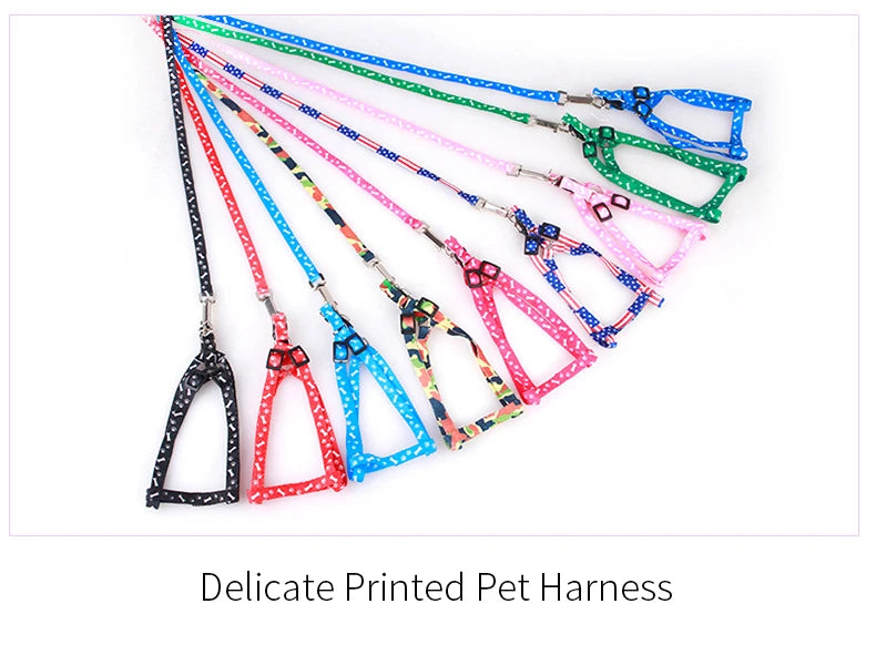 Coleira para Cães Pequenos, Coleiras para Filhotes, Conjunto de Coleira e Peitoral para Teddy, Conjunto de Corda de Guia Fofa
