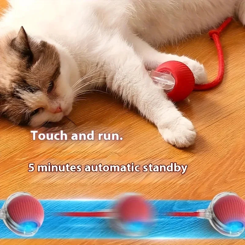 Brinquedo para Cães, Bola Automática para Passeio, Alivia o Tédio, Brinquedo Elétrico Inteligente para Cães, Resistente a Mordidas, Treinamento de Filhotes