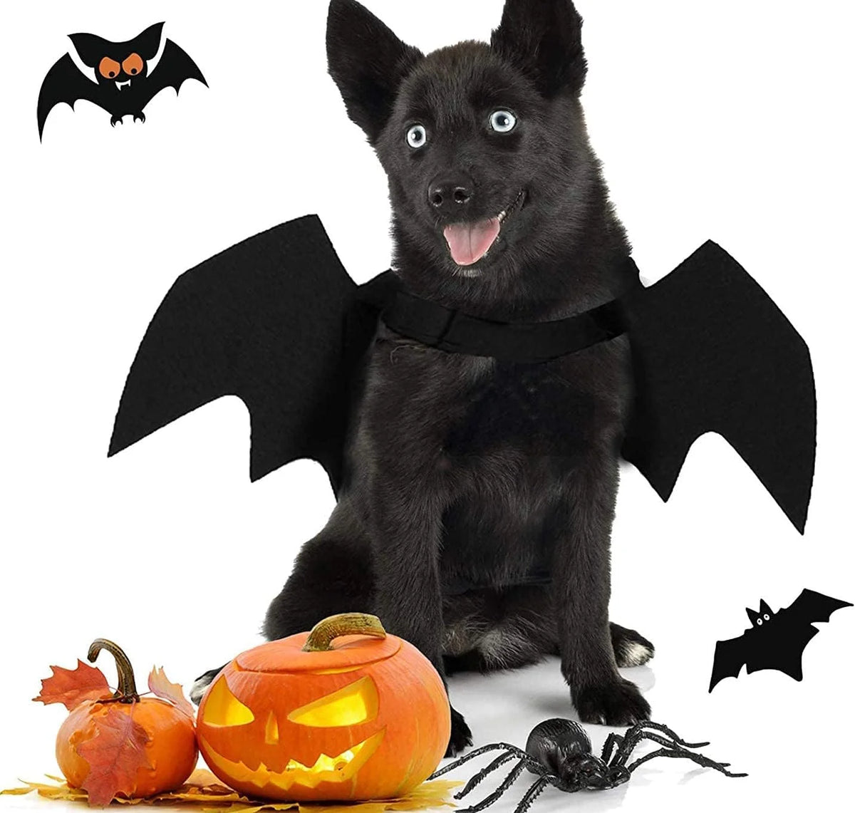 Asas de Morcego para Animais de Estimação de Halloween, Acessórios de Cosplay para Gatos e Cães, Adereços de Transformação para Festas Festivas com Atmosfera Divertida
