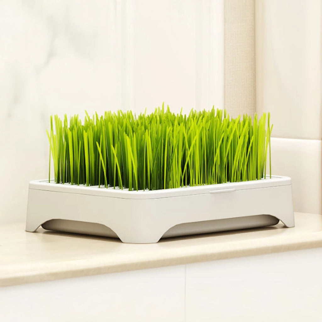Bacia de plantio de grama para gato de estimação, cultura sem solo, vaso de mudas de trigo, dispositivo hidropônico de grama para gatinhos, vaso de plantio horticultura
