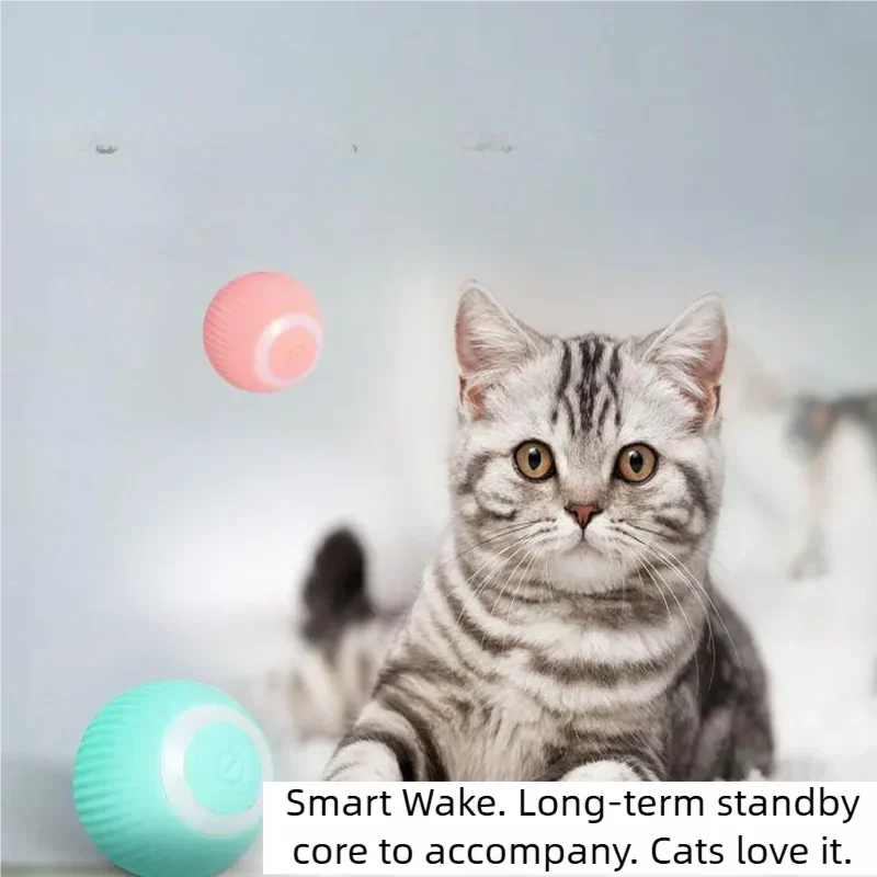 Brinquedo para Gatos, Bola Rolante Automática, Brinquedo Interativo para Gatos, Adequado para Treinamento de Gatos, Brinquedo Autônomo para Gatinhos, para Brincadeiras em Ambientes Fechados