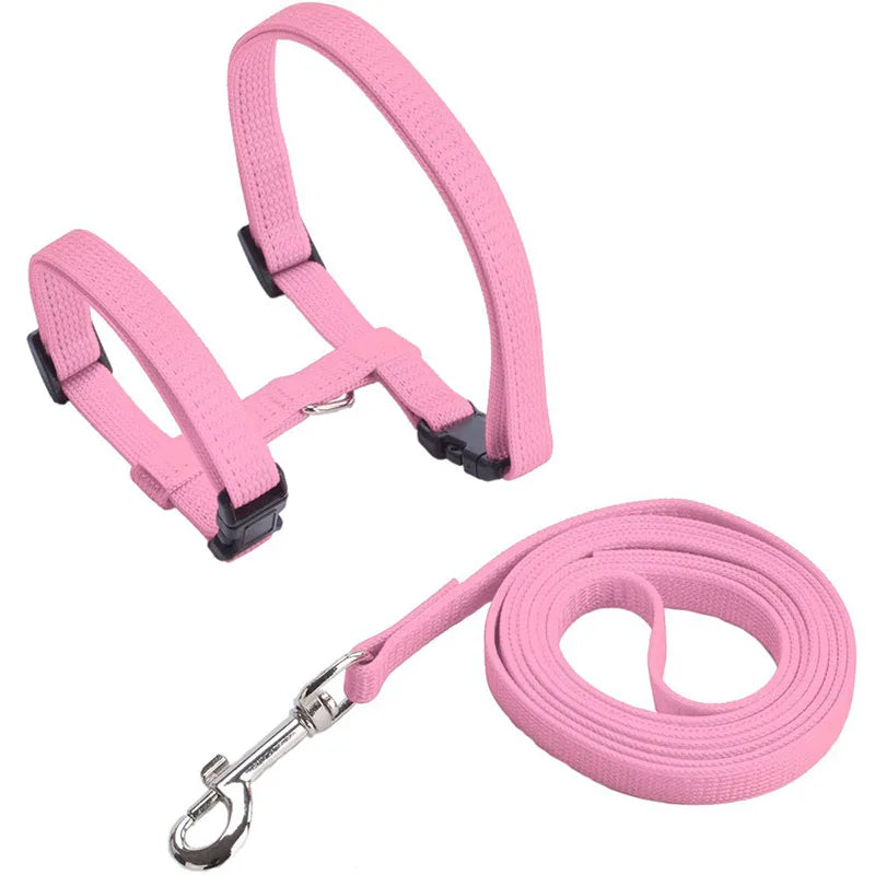 Coleira ajustável para gatos, coleira aconchegante de nylon para coelho, gatinhos, conjunto de coleira para cães e gatos, produtos para animais de estimação Kasa & Pet