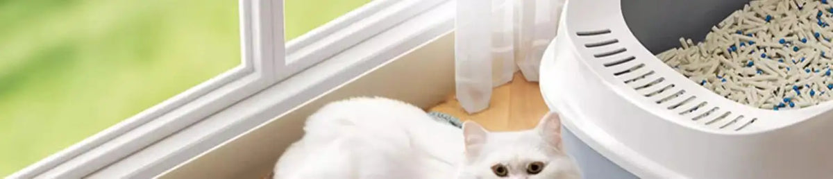 Tapete de areia extra grande para gatos, resistente, à prova d'água, 2 camadas, antiderrapante, lavável, protetor de piso para animais de estimação, caixa de areia