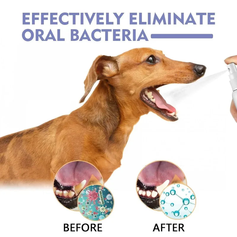 Spray de Cuidado Oral para Cães Limpeza de Dentes de Animais de Estimação Hálito Fresco Higiene Dental Diária Cuidado Suave para a Boca Fácil de Usar