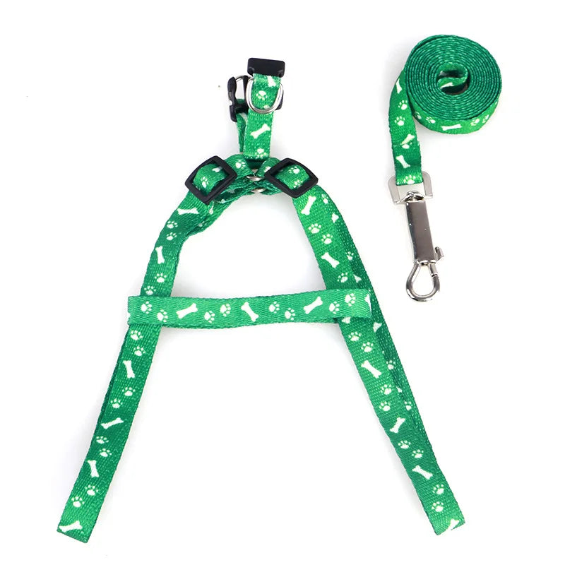 Coleira para Cães Pequenos, Coleiras para Filhotes, Conjunto de Coleira e Peitoral para Teddy, Conjunto de Corda de Guia Fofa