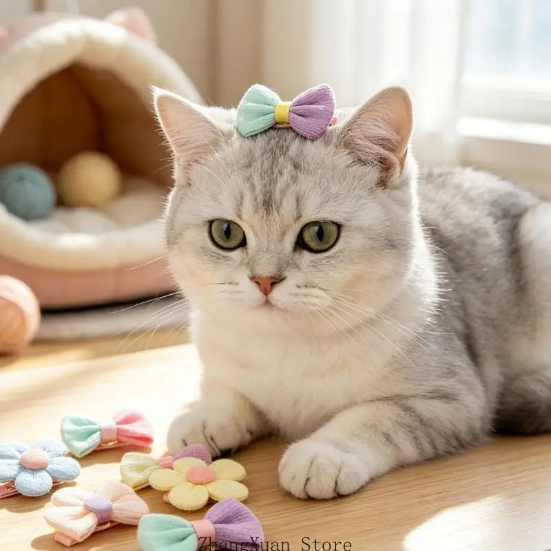 Acessórios cabelo para fotos animais estimação para cães e gatos, 14 peças com cores variadas e faixas elásticas para