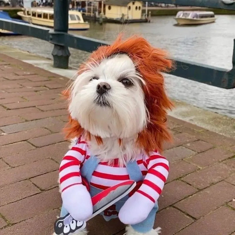 Fantasia de Halloween para Animais de Estimação – Vestido para Cães Pequenos e Médios – Roupa Divertida e Estilosa para Cães e Gatos Brincando com Roupas Engraçadas