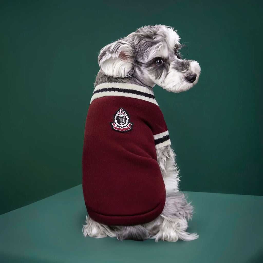 Suéter estilo universitário para cães, colete de malha com decote em v, casaco de inverno para animais de estimação, roupas quentes para cães pequenos, médios e grandes, gatos