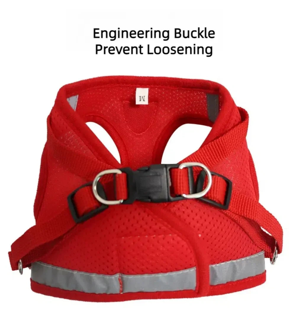 Conjunto de coleira de chumbo para gatos, ajustável, reflexivo, à prova de fuga, colete de malha para animais de estimação, coleira para cachorro, cachorro pequeno, gato, suprimentos para animais de estimação