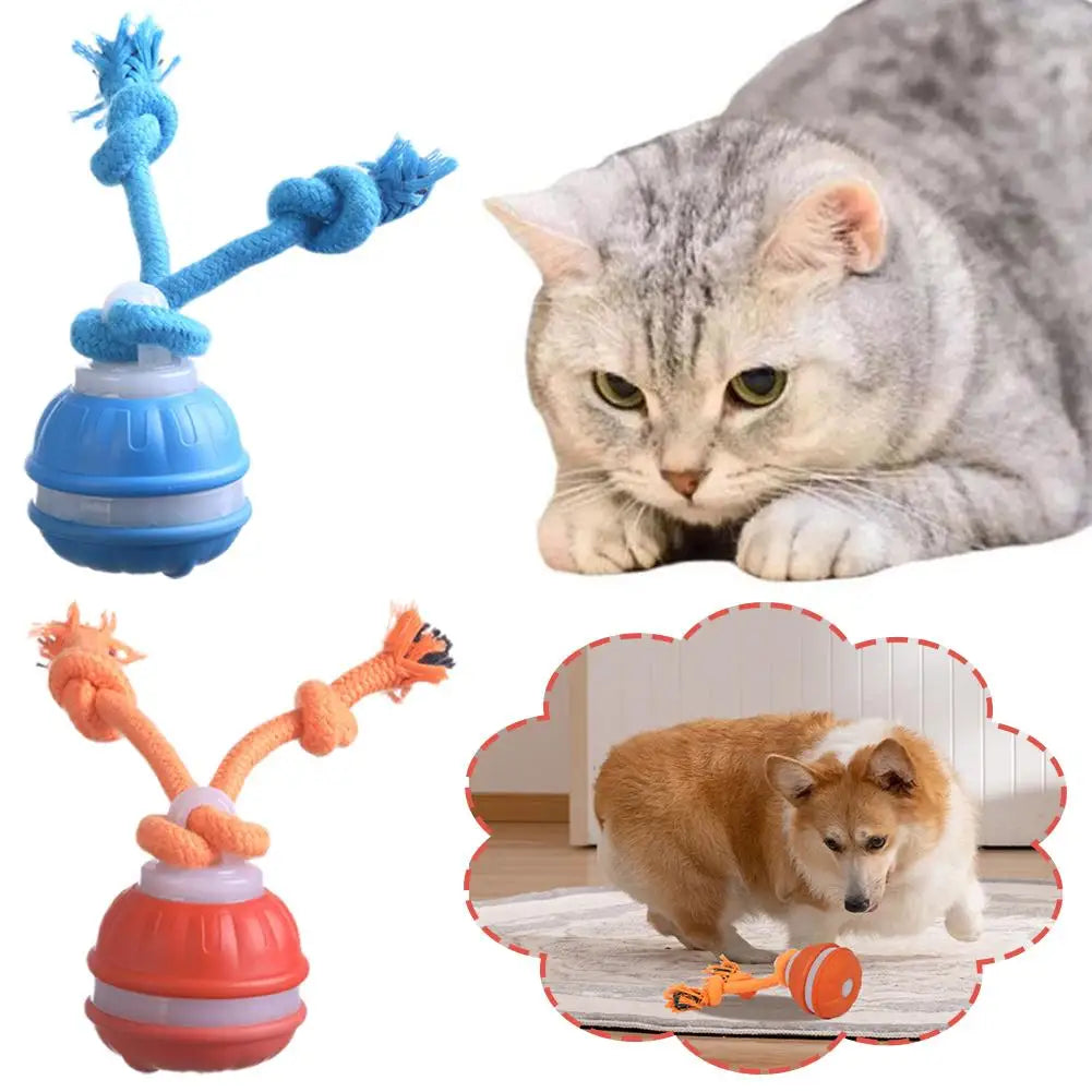 Bola Interativa para Cães, Brinquedo que Ativa com Movimento, Bola Rolante para Filhotes/Cães Pequenos, Brinquedo Automático Recarregável via USB