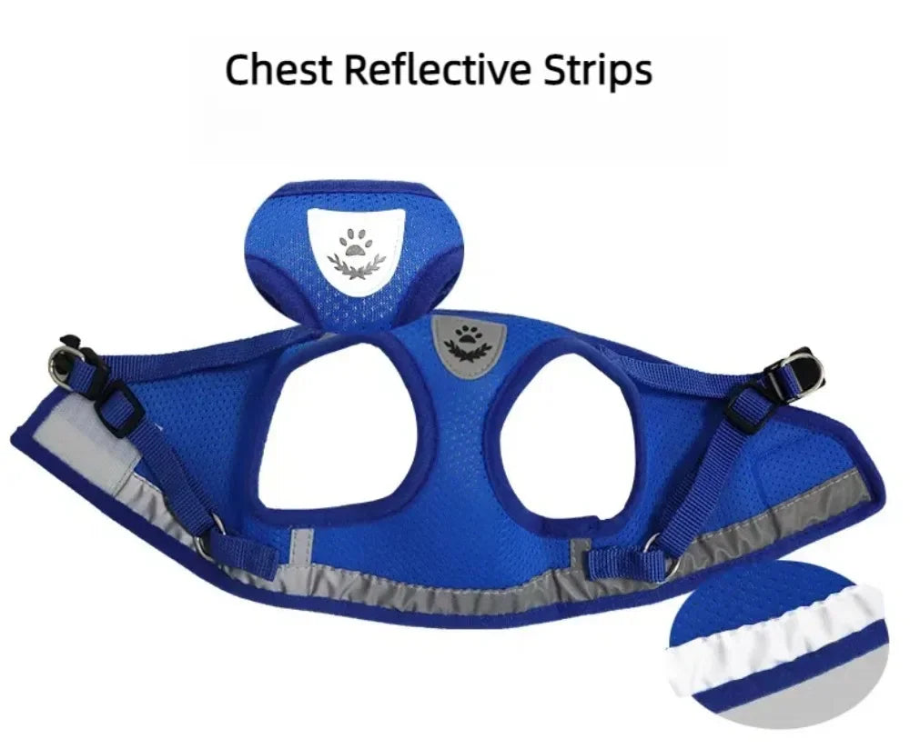 Conjunto de coleira de chumbo para gatos, ajustável, reflexivo, à prova de fuga, colete de malha para animais de estimação, coleira para cachorro, cachorro pequeno, gato, suprimentos para animais de estimação