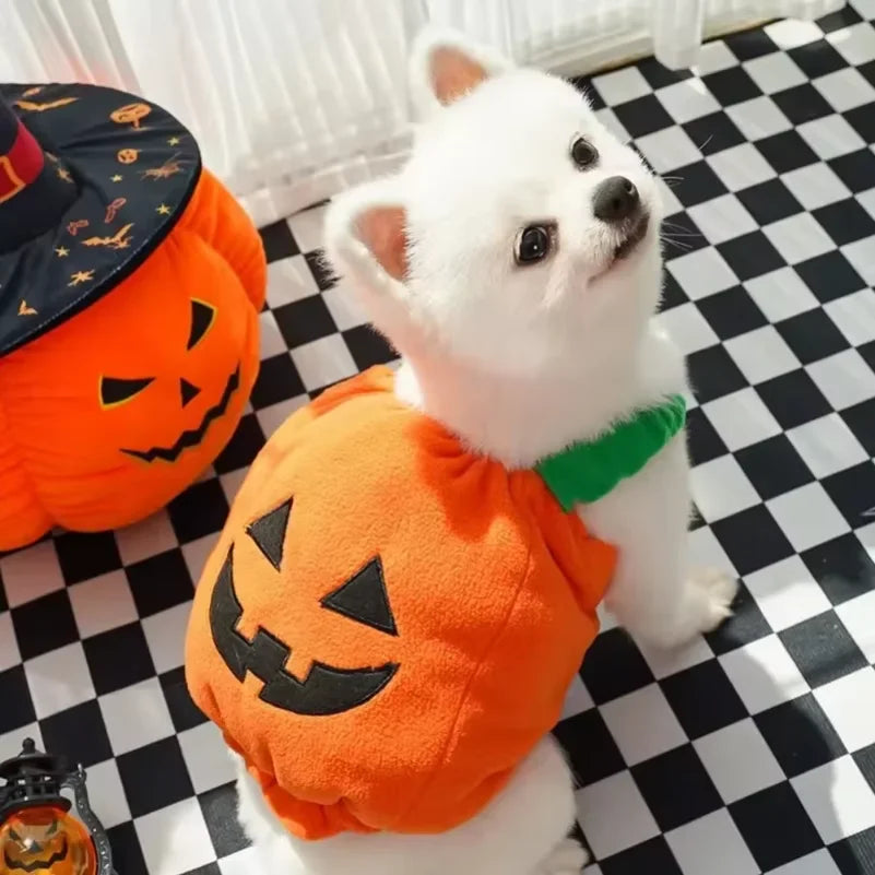 Fantasias de Halloween para Cães, Traje Engraçado de Abóbora Lanterna, Roupa de Transformação para Cães e Gatos de Duas Patas, Chapéu de Abóbora Fofo, Jaqueta para Cães