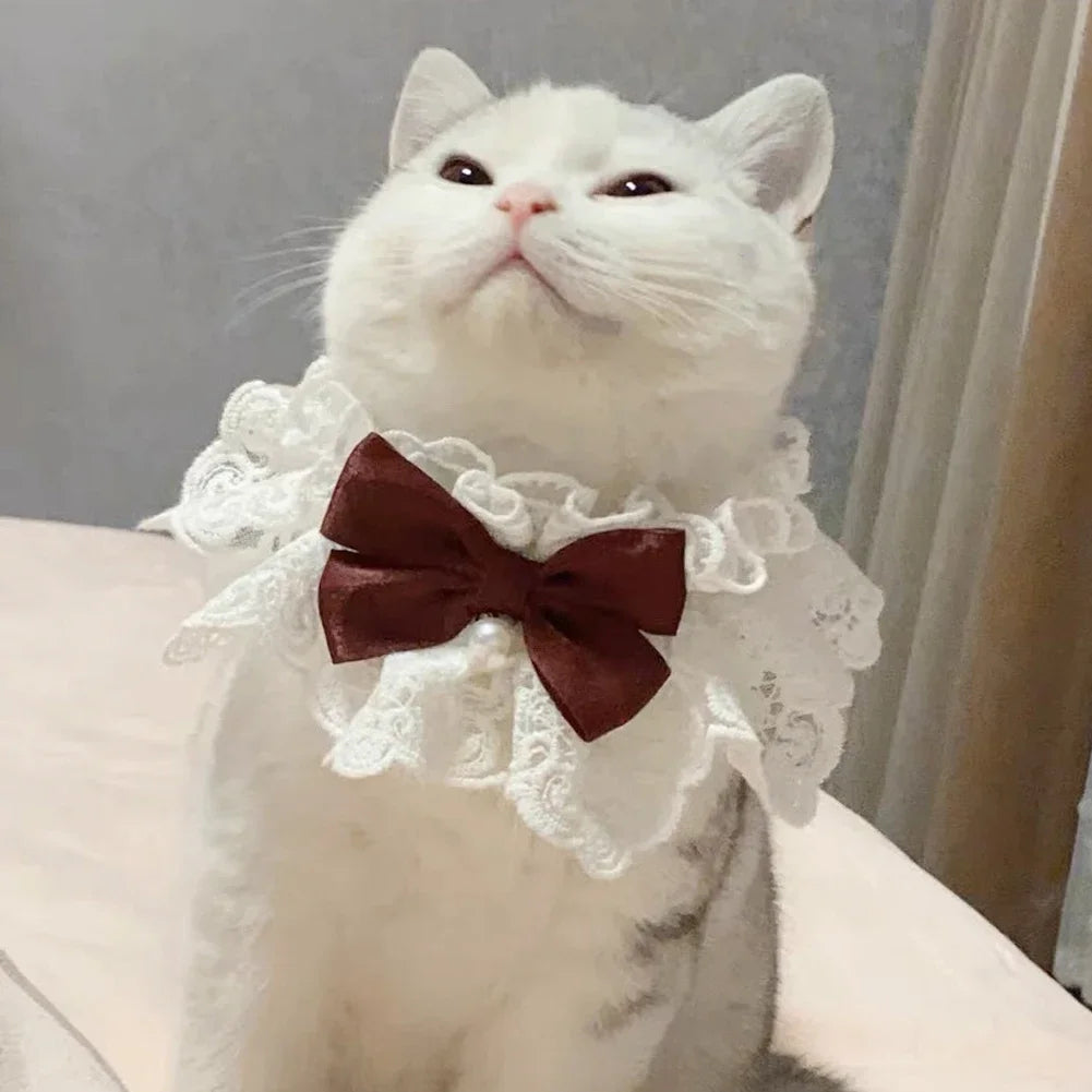 Laço bowknot pérola colar gato cão neckerchief pet gatos gatinho cão filhote de cachorro corda babador colar gravata pescoço cinta cachecol acessórios