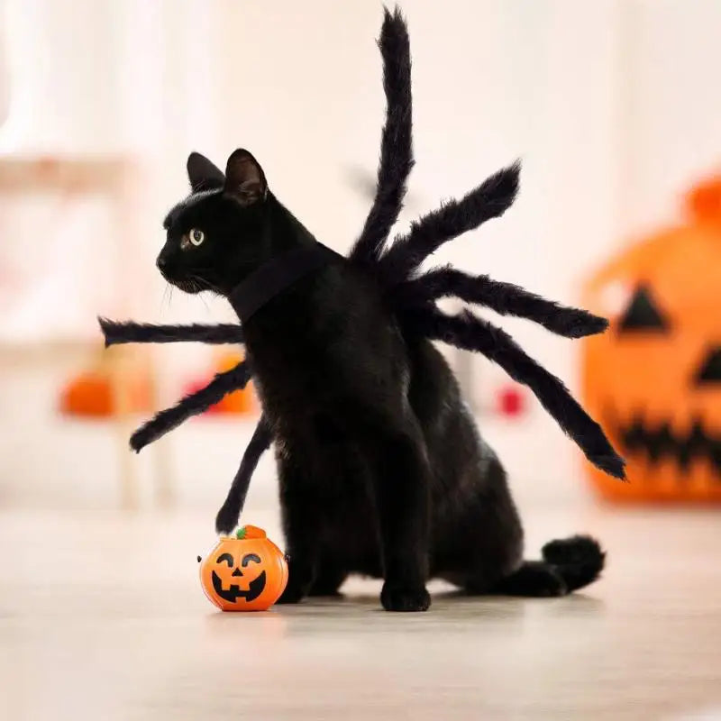 Novo # Fantasia de Halloween para Cães e Gatos, Traje de Aranha, Roupa de Transformação, Fantasia Engraçada para Cosplay, Vestido para Cães e Gatos