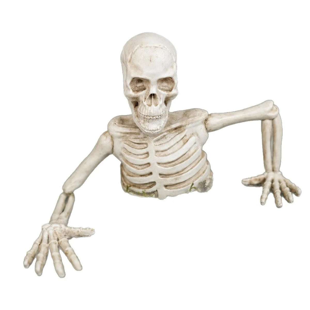 Decoração de Halloween: Esqueleto de Meio Corpo com Crânio para Bonsai, Decoração de Esqueleto de Meio Corpo para Interiores e Exteriores, Adereço para Decoração de Quintal - Kasa & Pet
