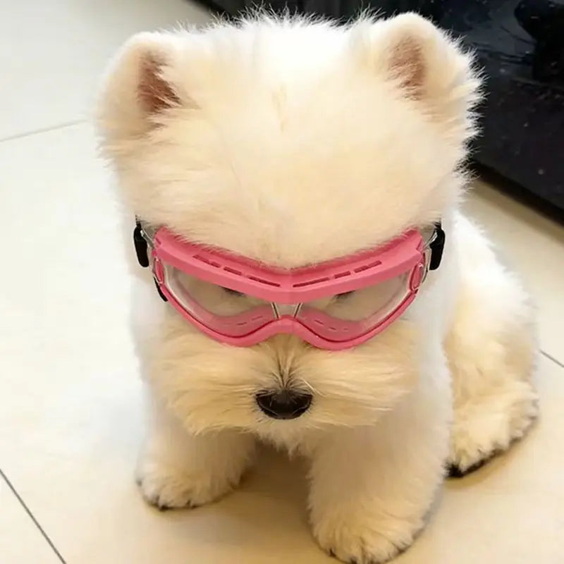 Óculos de Proteção para Cães Pequenos e Médios com Proteção UV e à Prova de Vento, Óculos de Sol para Animais de Estimação com Alça Ajustável