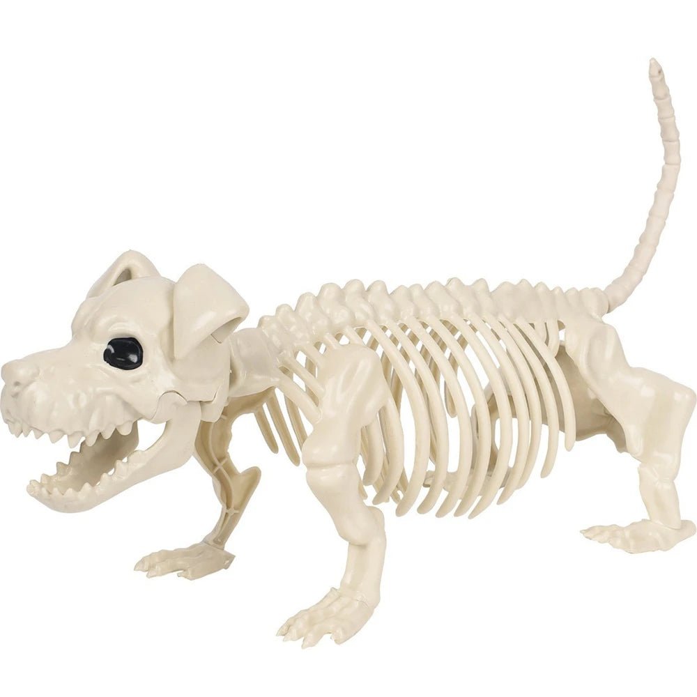 Decorações de Esqueletos Humanos e de Cães para Halloween - Decoração de Halloween Realista e Articulada de 36" para Interiores, Exteriores, Jardins e Cemitérios - Kasa & Pet