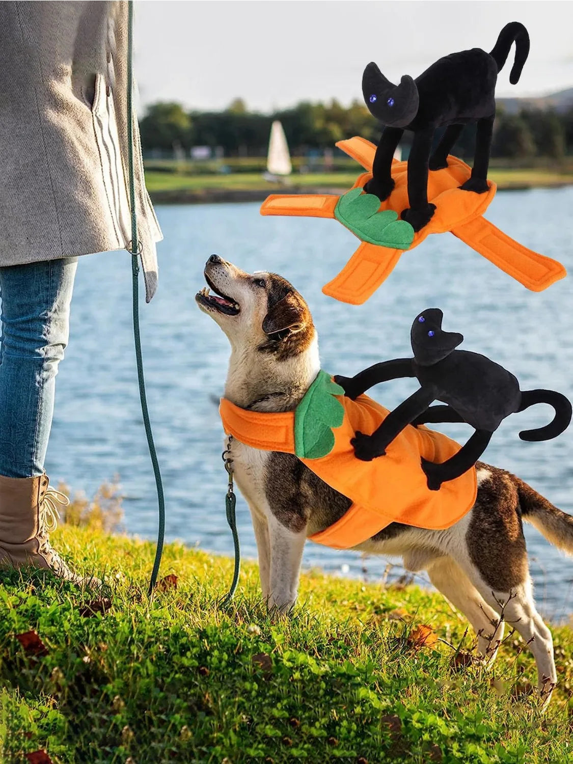 Halloween Pumpkin Pet Costume, Trajes de gato preto para cães, Cosplay para animais de pequeno a grande porte