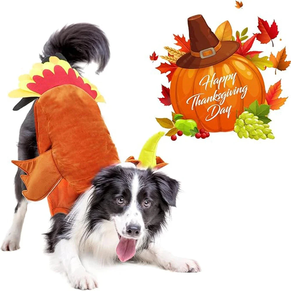 Fantasia de peru para cães no Halloween, fantasia de Ação de Graças para animais de estimação, roupa de inverno, vestuário para cosplay, fantasia para cães de pequeno, médio e grande porte.
