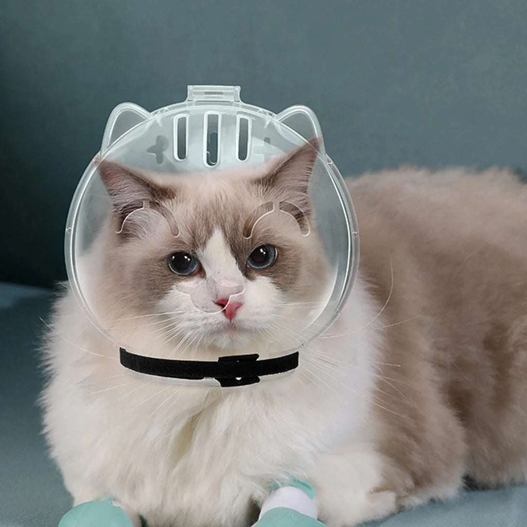 1 Conjunto de Capuz Protetor para Gatos, Acessório de Higiene para Animais de Estimação, Anti-Mordida, Anti-Lambida, Respirável, com 4 Protetores de Patas de Silicone