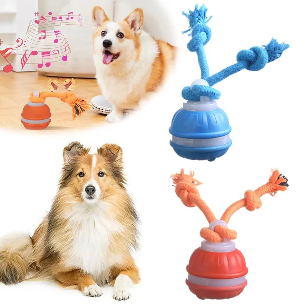 Bola Interativa para Cães, Brinquedo que Ativa com Movimento, Bola Rolante para Filhotes/Cães Pequenos, Brinquedo Automático Recarregável via USB