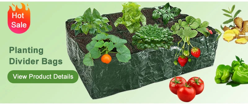 Hada de jardim, suprimentos agrícolas, ferramenta de ervas daninhas, ferramentas de jardinagem, utensílios de mão, herbicida, professor de ervas daninhas, acessórios agrícolas