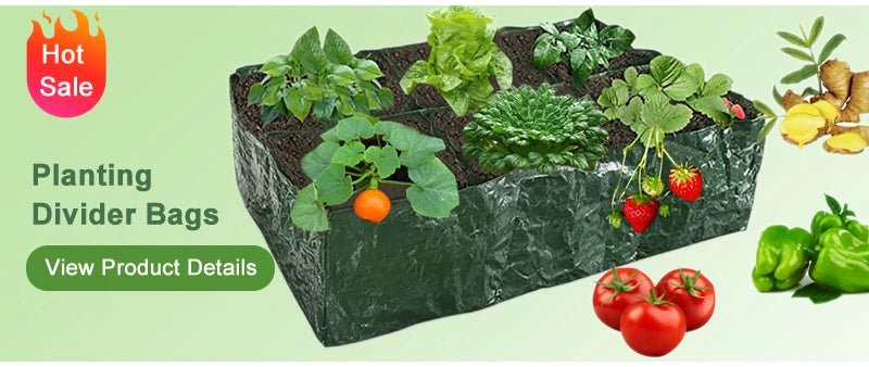 Hada de jardim, suprimentos agrícolas, ferramenta de ervas daninhas, ferramentas de jardinagem, utensílios de mão, herbicida, professor de ervas daninhas, acessórios agrícolas