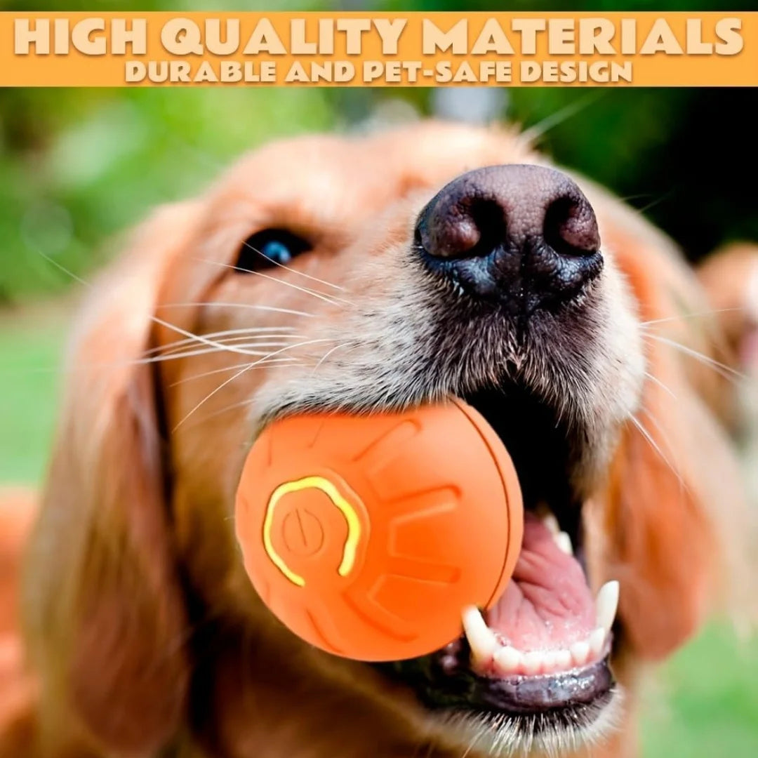Brinquedos para animais de estimação: bola elétrica com mecanismo de gravidade, bola inteligente que salta, para cães e gatos.