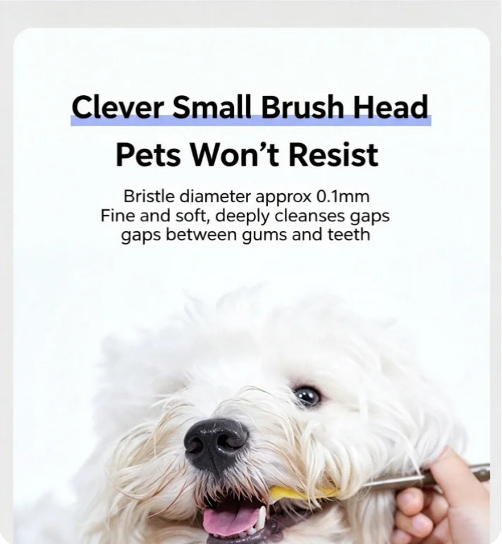 Escova de Dentes para Animais de Estimação, Escova de Dentes Plástica para Cães, Remoção de Tártaro, Limpeza Bucal, Cuidados com Animais de Estimação, Limpeza Bucal para Gatos
