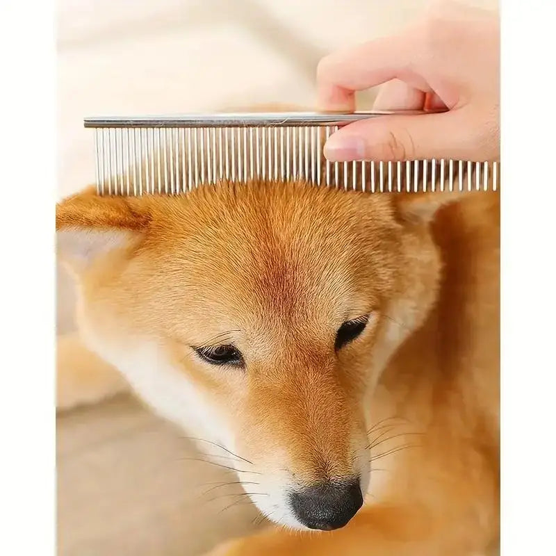 Tesoura segura para animais de estimação, 4 unidades, aço inoxidável ambidestro, tesoura para tosa de cães com cabeça redonda segura para aparar precisão
