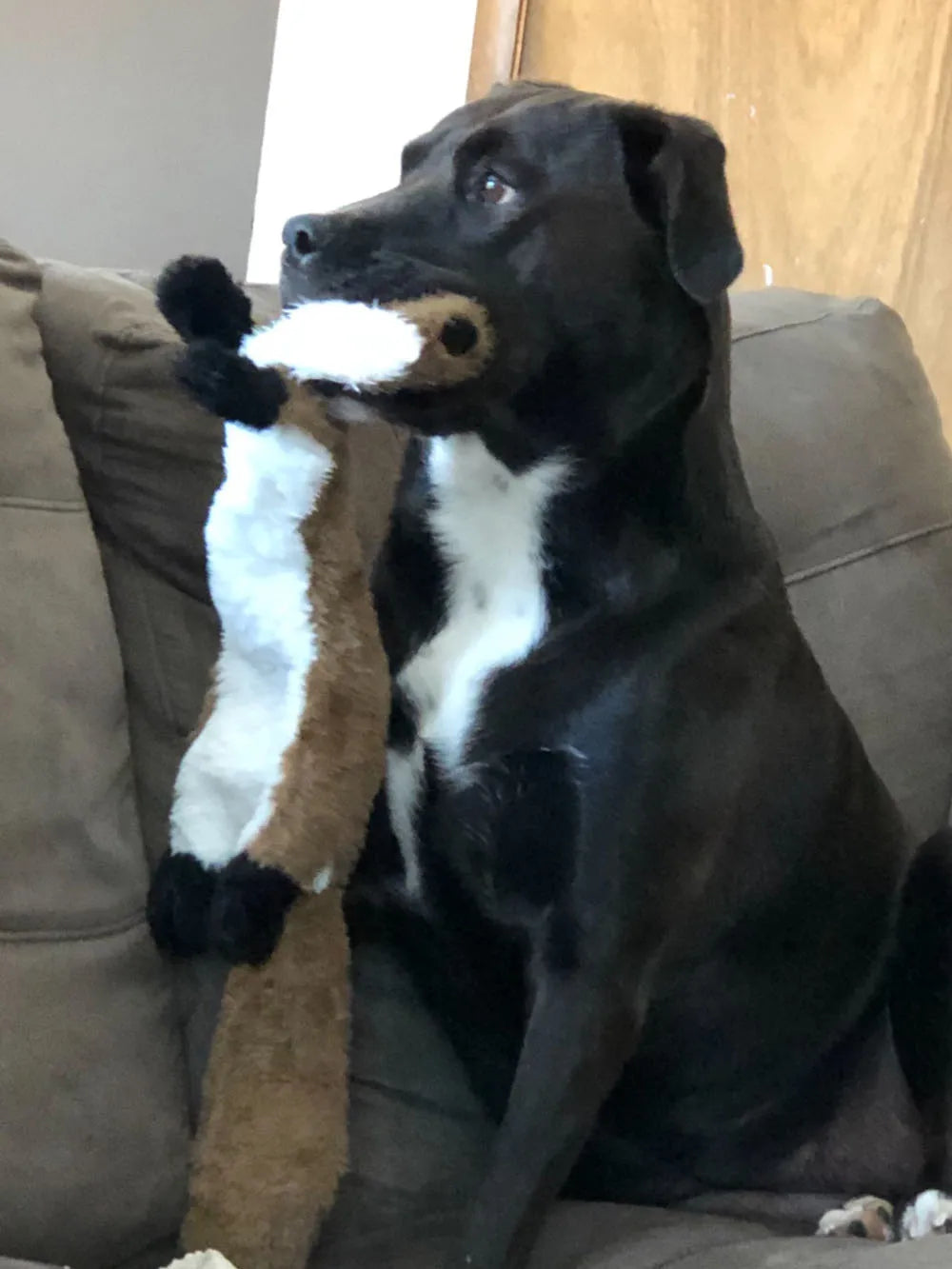Engraçado animal simulado sem recheio brinquedo do cão com rangidos durável stuffingless pelúcia estridente cão mastigar brinquedo crinkle pet rangido brinquedo