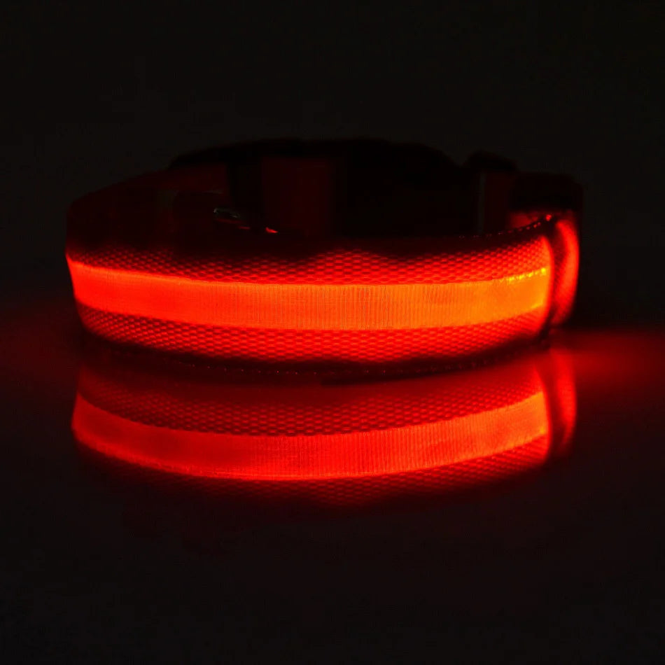 Nylon led noite segurança piscando brilho no escuro trela do cão cães luminoso fluorescente coleira do cão de estimação