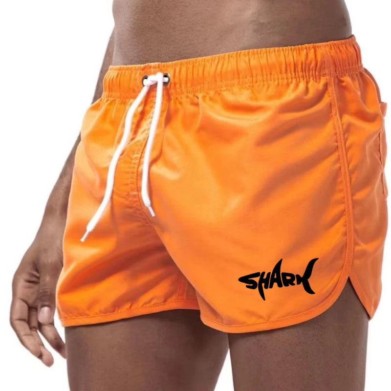 Men's Summer Mesh Quick-Drying Sports Shorts Casual Breathable Beach Pants for Outdoor Running Fitness